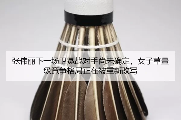 zhang-wei-li-xia-yi-chang-wei-mian-zhan-dui-shou-shang-wei-que-ding-nv-zi-cao-liang-ji-jing-zheng-ge-ju-zheng-zai-bei-2-800.jpg